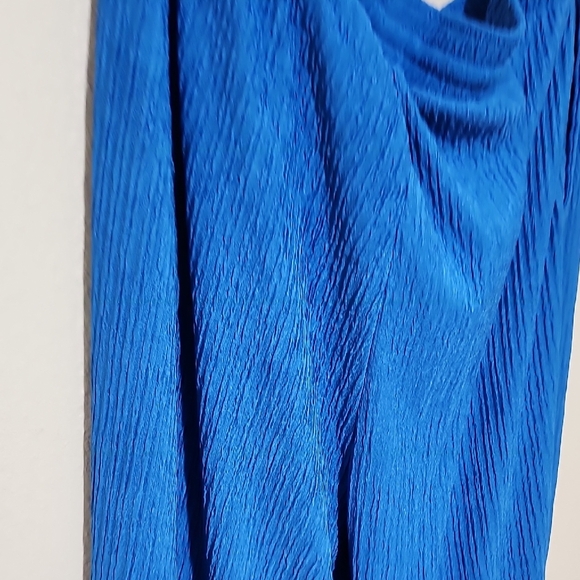 Wide Leg Blue Pants - Picture 8 of 9